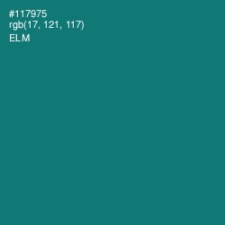 #117975 - Elm Color Image