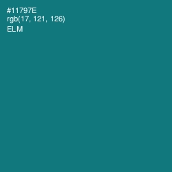 #11797E - Elm Color Image