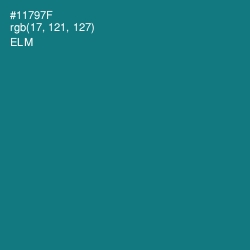 #11797F - Elm Color Image