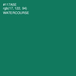 #117A5E - Watercourse Color Image