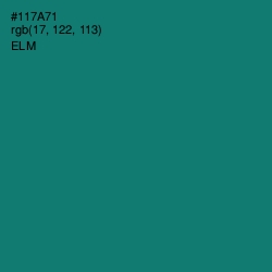 #117A71 - Elm Color Image