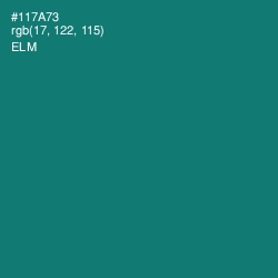 #117A73 - Elm Color Image