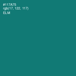 #117A75 - Elm Color Image