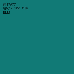 #117A77 - Elm Color Image