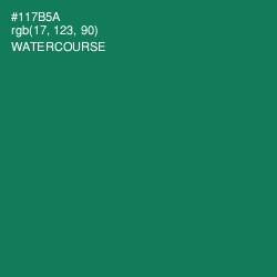 #117B5A - Watercourse Color Image