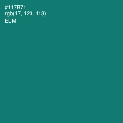 #117B71 - Elm Color Image