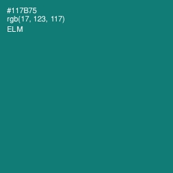 #117B75 - Elm Color Image