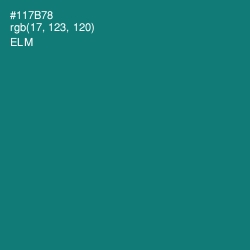 #117B78 - Elm Color Image