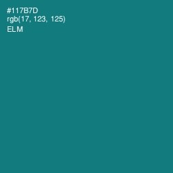 #117B7D - Elm Color Image