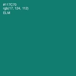 #117C70 - Elm Color Image