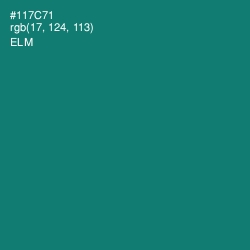 #117C71 - Elm Color Image