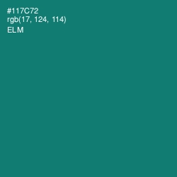 #117C72 - Elm Color Image