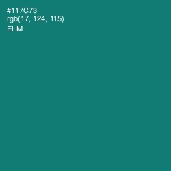 #117C73 - Elm Color Image