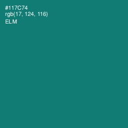 #117C74 - Elm Color Image