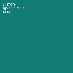 #117C76 - Elm Color Image