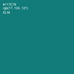 #117C79 - Elm Color Image