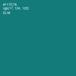 #117C7A - Elm Color Image