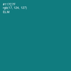 #117C7F - Elm Color Image