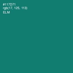 #117D71 - Elm Color Image