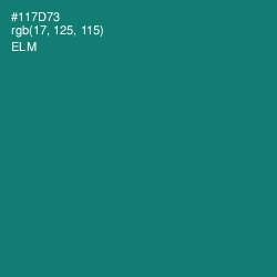 #117D73 - Elm Color Image