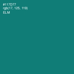 #117D77 - Elm Color Image