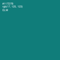 #117D7B - Elm Color Image