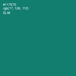 #117E70 - Elm Color Image
