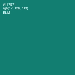 #117E71 - Elm Color Image