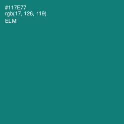 #117E77 - Elm Color Image