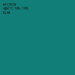 #117E78 - Elm Color Image