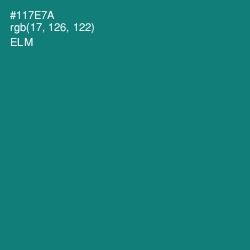 #117E7A - Elm Color Image
