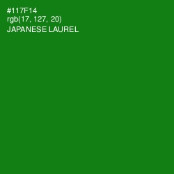 #117F14 - Japanese Laurel Color Image