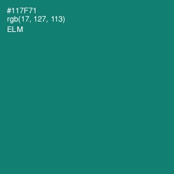 #117F71 - Elm Color Image