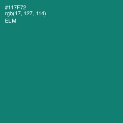 #117F72 - Elm Color Image