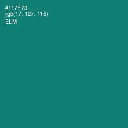 #117F73 - Elm Color Image