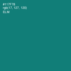 #117F78 - Elm Color Image