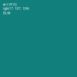 #117F7C - Elm Color Image