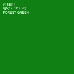 #118014 - Forest Green Color Image