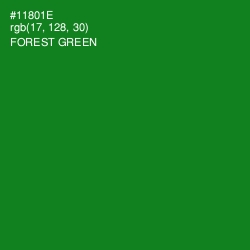 #11801E - Forest Green Color Image