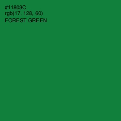 #11803C - Forest Green Color Image