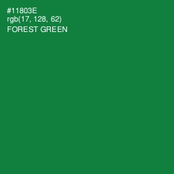 #11803E - Forest Green Color Image