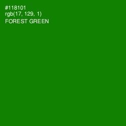 #118101 - Forest Green Color Image