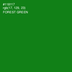 #118117 - Forest Green Color Image