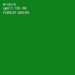 #11811D - Forest Green Color Image