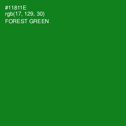 #11811E - Forest Green Color Image