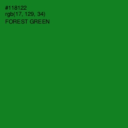 #118122 - Forest Green Color Image