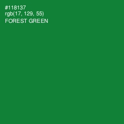 #118137 - Forest Green Color Image