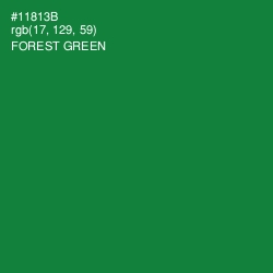 #11813B - Forest Green Color Image