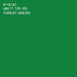 #11813C - Forest Green Color Image