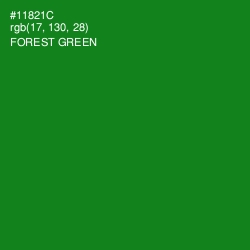 #11821C - Forest Green Color Image